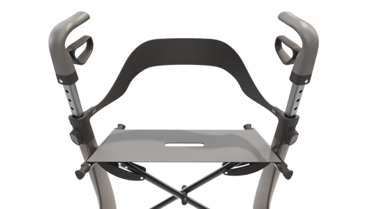 Carbon Overland Backrest