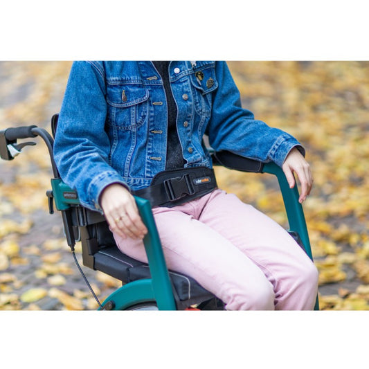 Rollz Motion Seatbelt